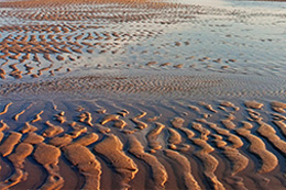 Naturerlebnis auf Sylt - Das Wattenmeer in Rantum